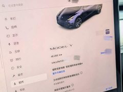 Tesla Model Y Rear-Wheel Drive - ფოტო 9