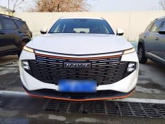 Haval Divine Beast 2023 1.5T Smart Enjoy Edition - ფოტო 19