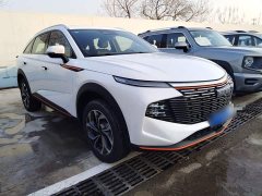 Haval Divine Beast 2023 1.5T Smart Enjoy Edition - ფოტო 20