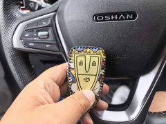 Changan Oushan X5 1.5T DCT Luxury - ფოტო 17