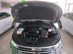 BYD Destroyer 05 Glory Edition DM-i 55KM Luxury - ფოტო 20