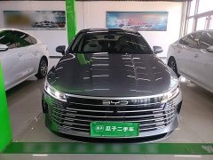 BYD Destroyer 05 Glory Edition DM-i 55KM Luxury - ფოტო 3