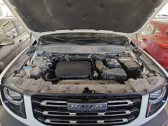 Great Wall Big Dog 2022 1.5T DCT FWD Malinois Edition - ფოტო 20