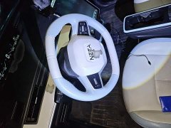 Neta AYA 2023 Facelift 401 Lite - ფოტო 2