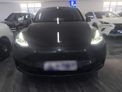Tesla Model Y Rear-Wheel Drive - ფოტო 3