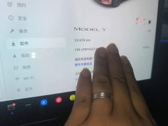 Tesla Model Y Rear-Wheel Drive - ფოტო 8