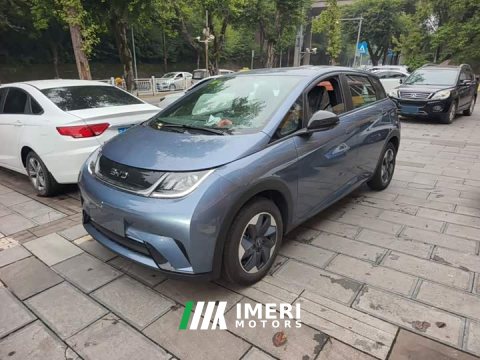 2026 BYD Dolphin 2025 420km Freedom Edition - ავტომობილი ჩინეთიდან