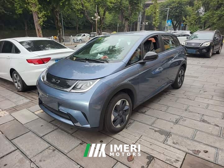 BYD Dolphin 420km Freedom Edition