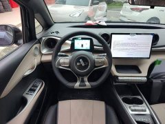 BYD Dolphin 2025 420km Freedom Edition - ფოტო 11