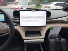 BYD Dolphin 2025 420km Freedom Edition - ფოტო 13
