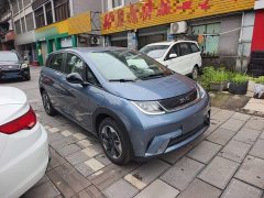 BYD Dolphin 2025 420km Freedom Edition - ფოტო 4