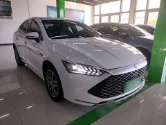 BYD Qin Plus 2023 Champion Edition DM-i 120KM Exceed - ფოტო 4