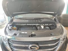GAC Aion M8 Lingxiu Series 390T Luxury Edition - ფოტო 20