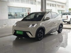 BYD Seagull Glory Edition 405km Flying Edition - ფოტო 1