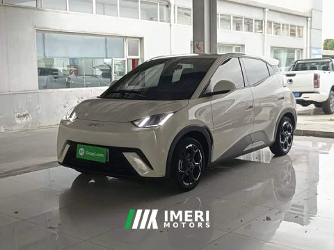 2024 BYD Seagull Glory Edition 405km Flying Edition - ავტომობილი ჩინეთიდან
