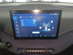 BYD Seagull Glory Edition 405km Flying Edition - ფოტო 13