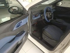 BYD Seagull Glory Edition 405km Flying Edition - ფოტო 16