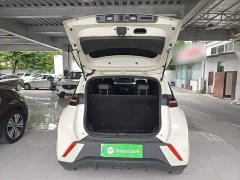 BYD Seagull Glory Edition 405km Flying Edition - ფოტო 19