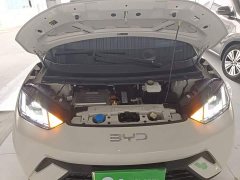 BYD Seagull Glory Edition 405km Flying Edition - ფოტო 20