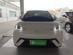BYD Seagull Glory Edition 405km Flying Edition - ფოტო 3
