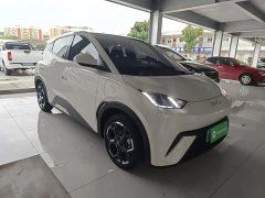 BYD Seagull Glory Edition 405km Flying Edition - ფოტო 4