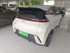 BYD Seagull Glory Edition 405km Flying Edition - ფოტო 7