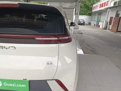 BYD Seagull Glory Edition 405km Flying Edition - ფოტო 8