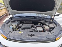 Jac Jianghuai QX PHEV 120km Sport Enjoy Edition - ფოტო 20