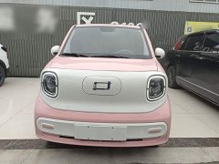 FAW Besturn Xiaoma 170km Vitality Edition - ფოტო 3