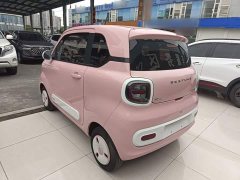 FAW Besturn Xiaoma 170km Vitality Edition - ფოტო 5