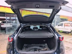 Mazda CX-30 2.0L Automatic Elegance - ფოტო 19