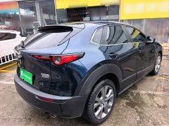Mazda CX-30 2.0L Automatic Elegance - ფოტო 7