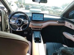 BYD Seagull Glory Edition 305km Freedom Version - ფოტო 10