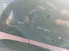 BYD Seagull Glory Edition 305km Freedom Version - ფოტო 12