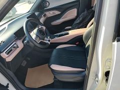 BYD Seagull Glory Edition 305km Freedom Version - ფოტო 15