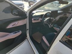 BYD Seagull Glory Edition 305km Freedom Version - ფოტო 16