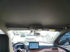BYD Seagull Glory Edition 305km Freedom Version - ფოტო 18