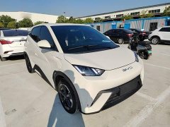 BYD Seagull Glory Edition 305km Freedom Version - ფოტო 4