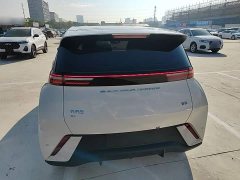 BYD Seagull Glory Edition 305km Freedom Version - ფოტო 6