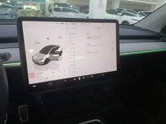 Tesla Model Y Rear-Wheel Drive - ფოტო 10