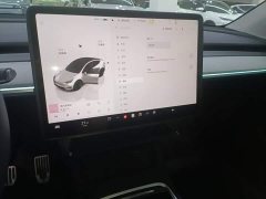 Tesla Model Y Rear-Wheel Drive - ფოტო 13