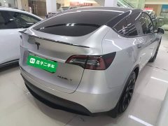 Tesla Model Y Rear-Wheel Drive - ფოტო 7