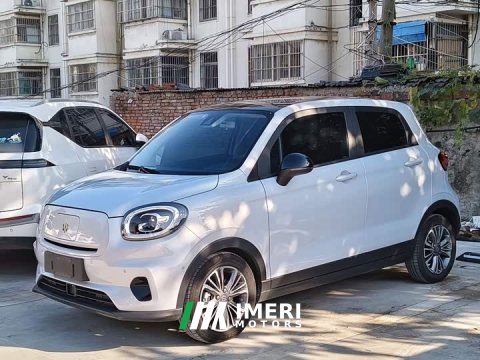 2022 Leapmotor Leapo T03 2021 400 Luxury Edition - ავტომობილი ჩინეთიდან