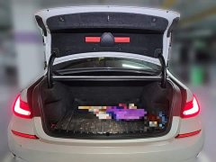 BMW 3 Series 320Li M Sport Package - ფოტო 10