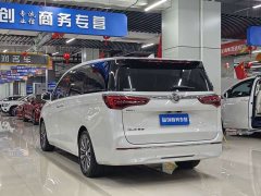 Buick GL8 ES Land Respect 653T Luxury - ფოტო 7