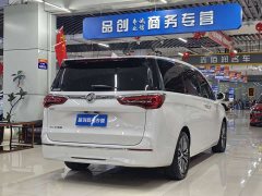 Buick GL8 ES Land Respect 653T Luxury - ფოტო 9