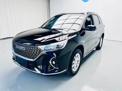 Haval M6 2021 PLUS 1.5T DCT Luxury Smart Connected Edition - ფოტო 1