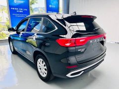 Haval M6 2021 PLUS 1.5T DCT Luxury Smart Connected Edition - ფოტო 8