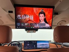 Great Wall WEY Blue Mountain Intelligent Advanced Edition Four-Wheel Drive Max - ფოტო 10