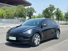 Tesla Model Y Standard Range RWD - ფოტო 1
